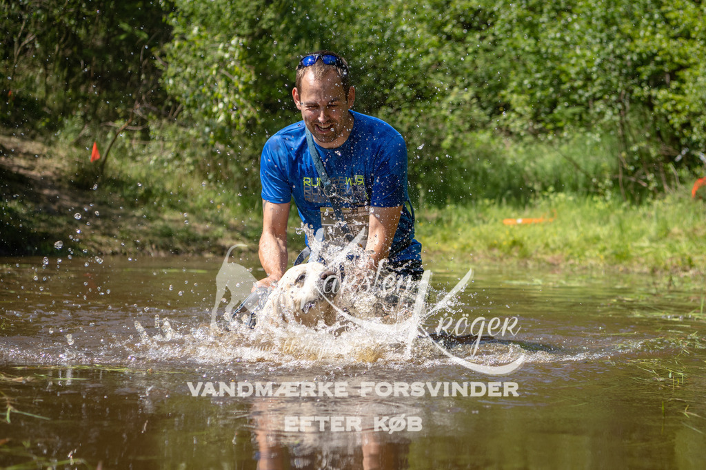 1513DKK992560 | kk-dogfotos