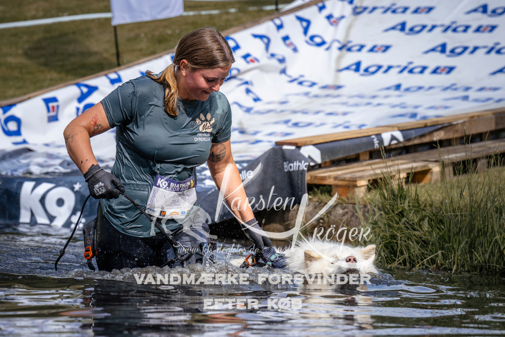 _ZZ905230900 | kk-dogfotos