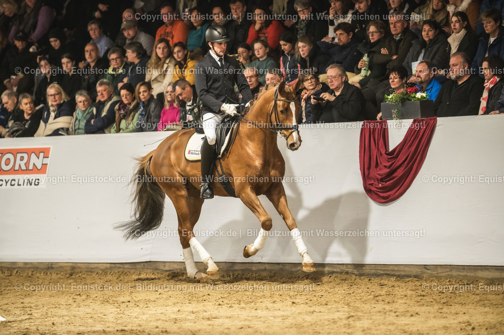 20240302_Hengstvorstellung_Marbach_TOMsPiC_0338 | equistock