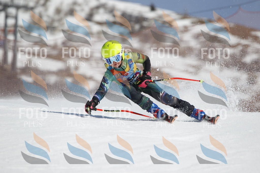 _U3G0869 | holidayphoto