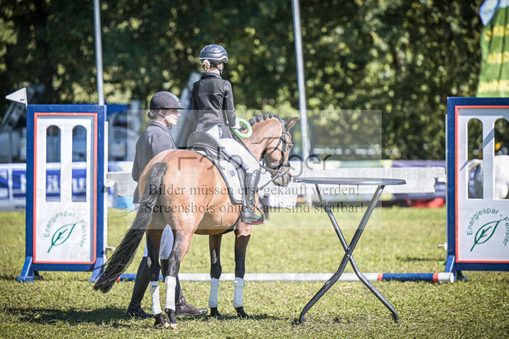 DOS_0287 | Entdecke hochwertige Reitturnierfotos von Foto Oger. Professionell, emotional und authentisch – jetzt Lieblingsmomente im Shop bestellen.Deutschlandweite Turnierfotografie. - Realisiert mit Pictrs.com