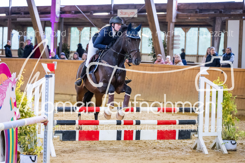 Sth-A-Spr.m.st.A.-053 | MomenTaufnahmen Pferdesportfotos