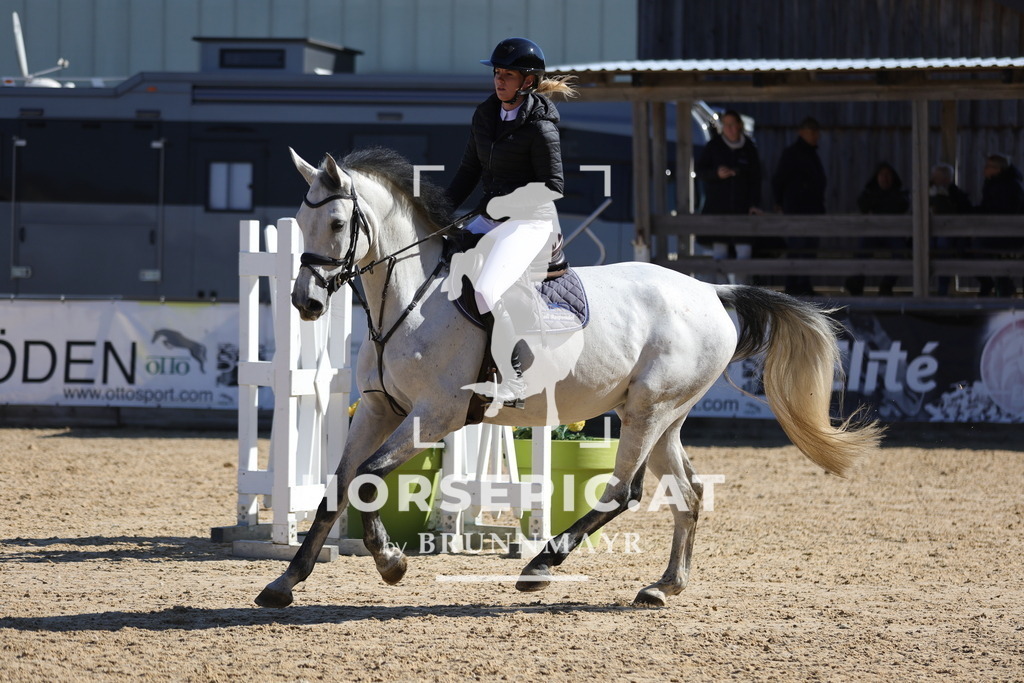 0P6A9823 | Willkommen bei Brunnmayr - Design & Fotografie – Ihrem Spezialisten für Reitturniere und Pferdeveranstaltungen in Oberösterreich, Salzburg und Bayern! Seit über 17 Jahren sind wir leidenschaftlich dabei.