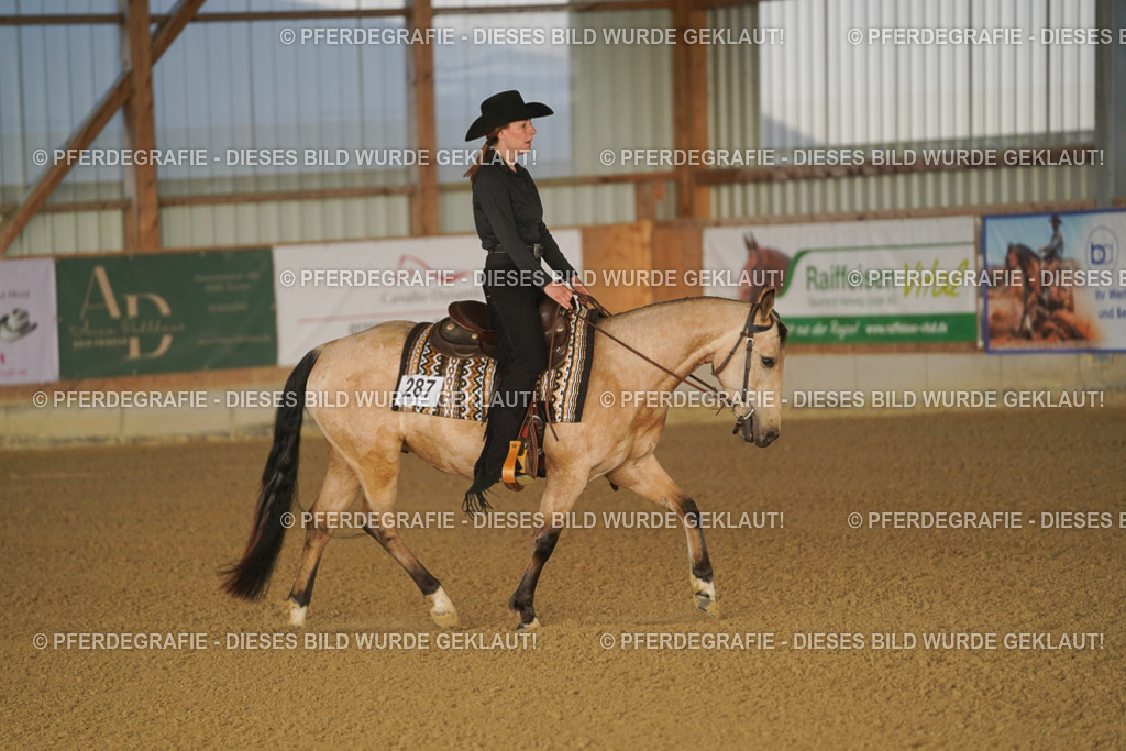 DSC07739 | Pferdegrafie