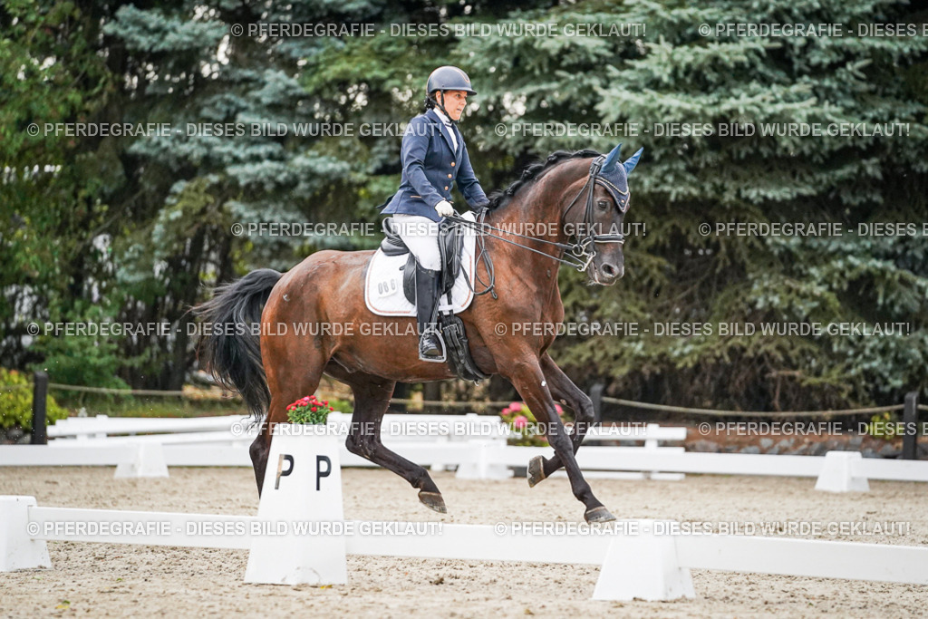 DSC09564 | Pferdegrafie