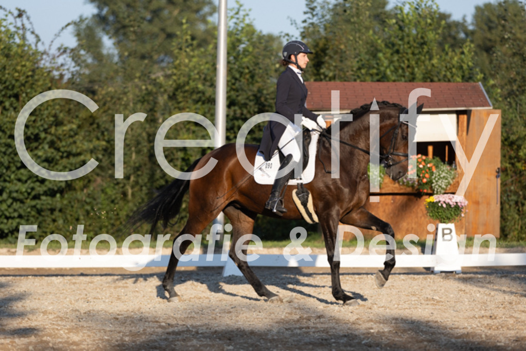 IMG_1538 | Creatify Fotografie