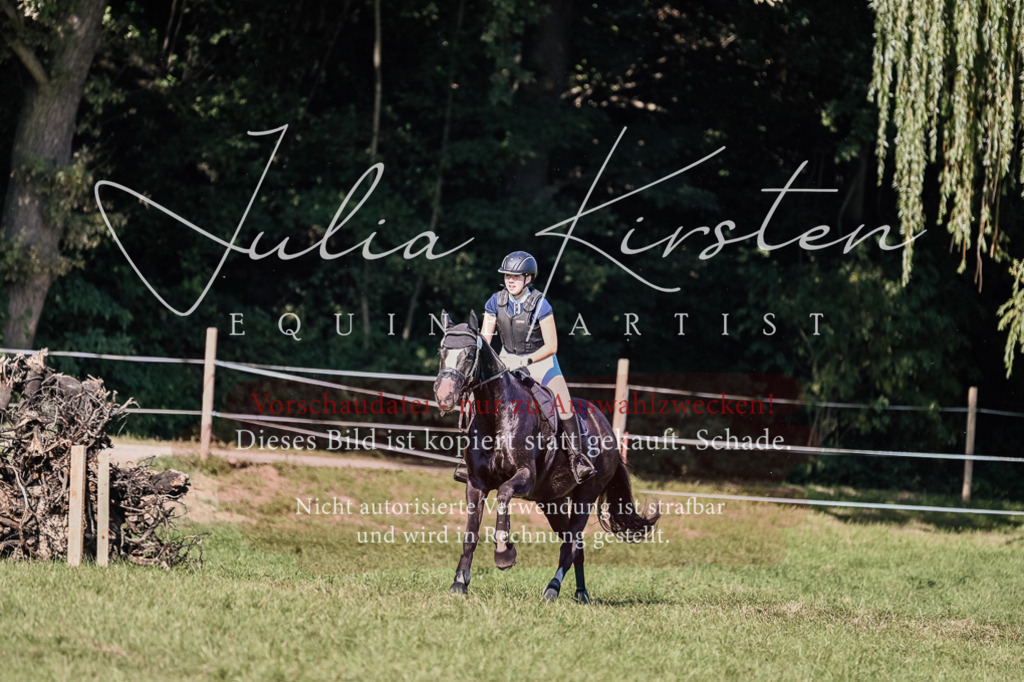 DSC_3569 | Pferde- und Turnierfotografie in Westsachsen. Pferdeportraits, Auftragszeichnungen und intuitive Kunst.
