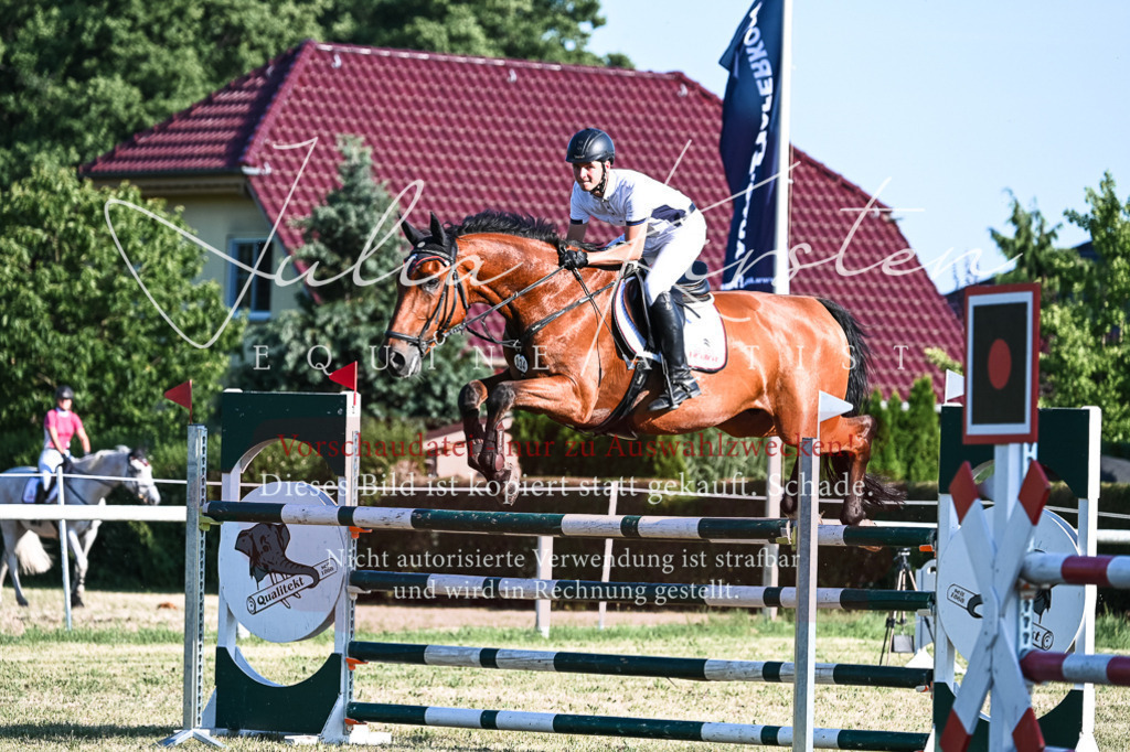 DSC_2663 | Pferde- und Turnierfotografie in Westsachsen. Pferdeportraits, Auftragszeichnungen und intuitive Kunst.