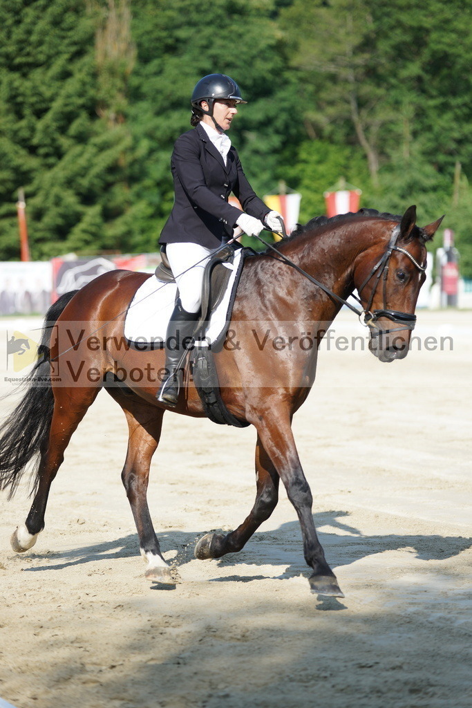 DSC01311 | equestrian-live-com