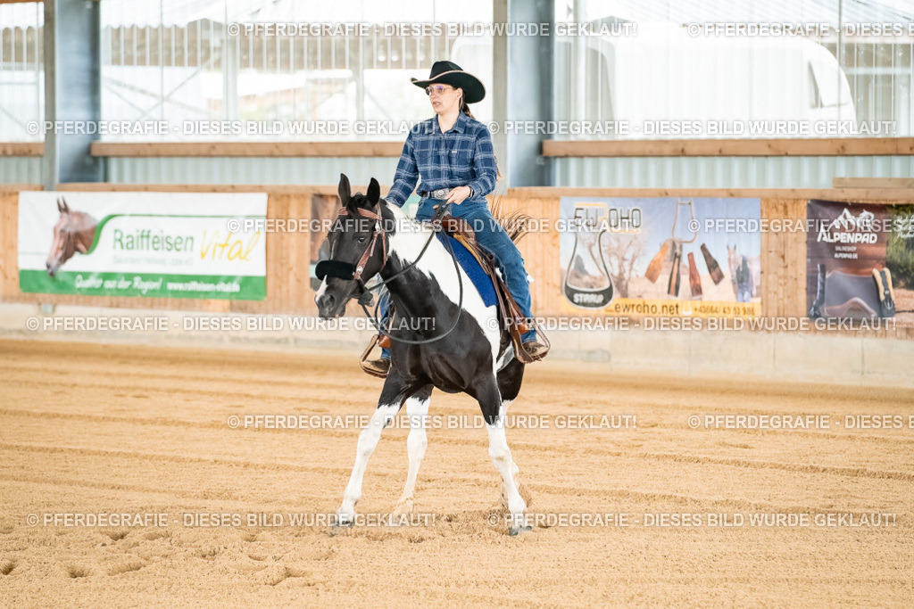 DSC02662 | Pferdegrafie