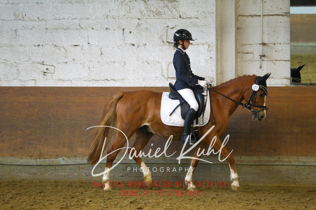 DKP43395 | Turniersportfotografie; Pferdefotografie; Dressurfotografie