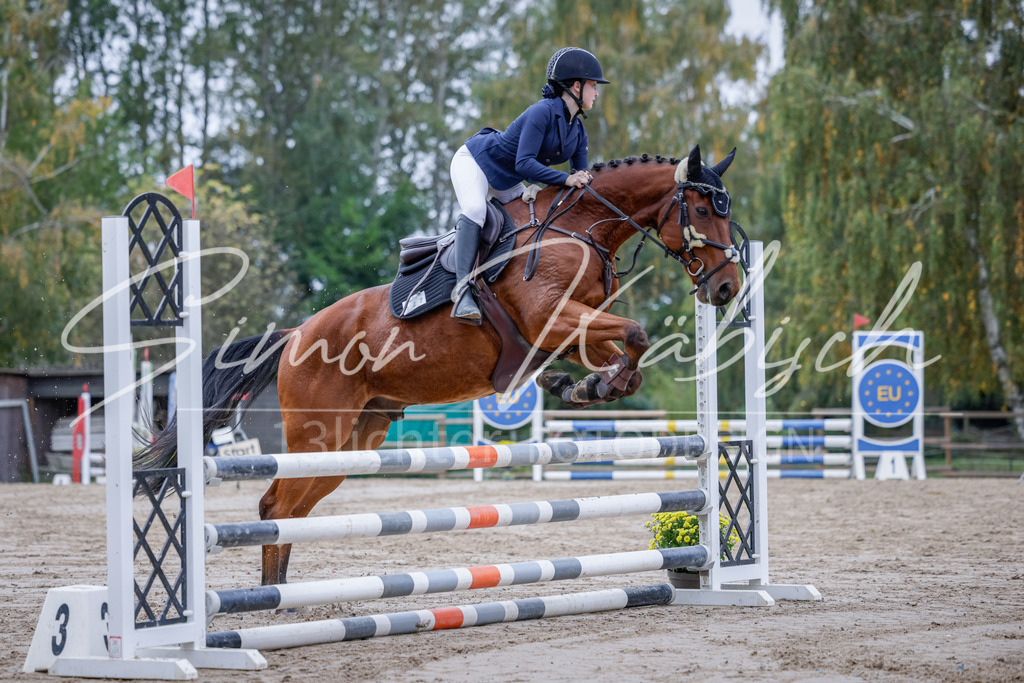 20251012-_3LI3301 | Tierfotografie Pferde, Hunde, Katzen, Haustiere.
Turnierfotografie Reitturniere, Reiten, Springreiten, Dressur in Hanau, dem Main-Kinzig-Kreis und dem Rhein-Main- Gebiet um Frankfurt