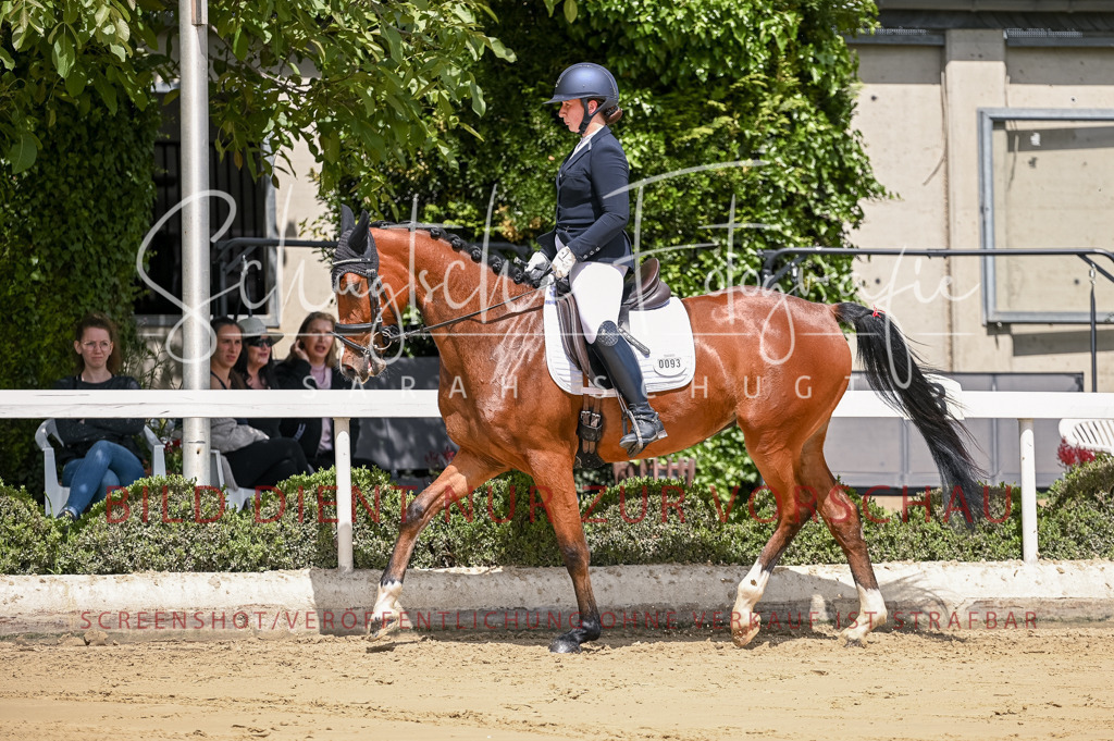 Schugtsche-Aluta25-48.Reitpferfdeprf.-123 | Schugtsche Fotografie - Realisiert mit Pictrs.com