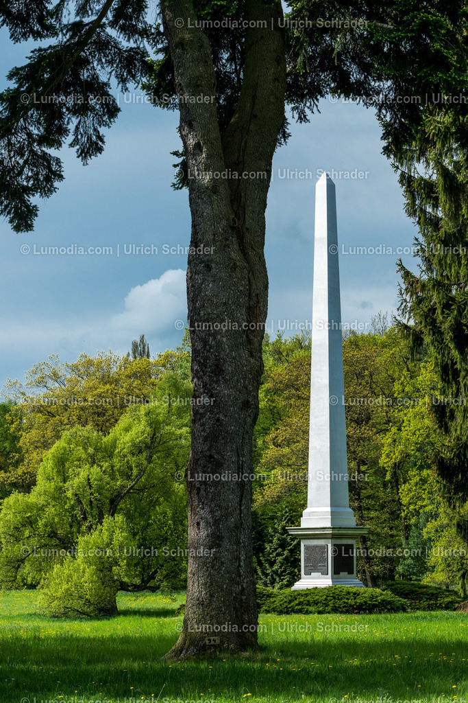10049-3862 - Landschaftspark Degenershausen | Stockfoto und Bilderpool mit Bildmaterial aus Deutschland, dem Harz, Halberstadt, Quedlinburg, Wernigerode und weltweit. Qualitativ hochwertige und professionelle Fotos anschauen und kaufen. - Realisiert mit Pictrs.com