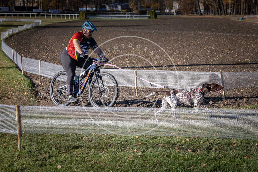 CaniXpix_DV3A6300 | Hundefotografie, Tierfotograf, Pfotenfotografie, Fotoshooting Hund, Hunde Portrait, Hundesport, Hundeportraits, Heideshooting, Hunde, Sportfotograf, Hundefotograf, Turnierhundsport, THS,  - Realisiert mit Pictrs.com