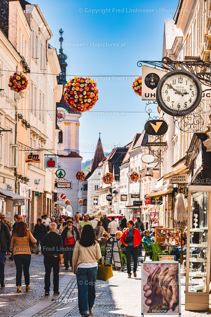 Wachau 04042025 _ Fred Lindmoser--3 | Fotos und Fotoprodukte - Realisiert mit Pictrs.com