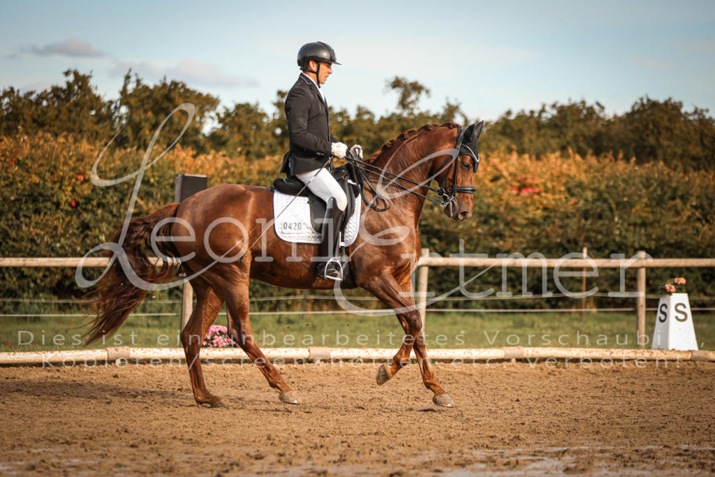 17.SoDrM00495 | Leoni Ertmer Photography - Realisiert mit Pictrs.com