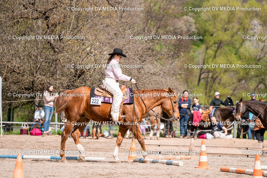 BAL02457 | dv-media-shop - Realisiert mit Pictrs.com