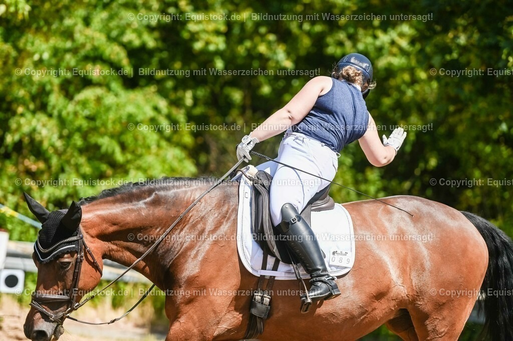 20230715_02_Dressurreiterprüfung Kl.L_0007 | equistock