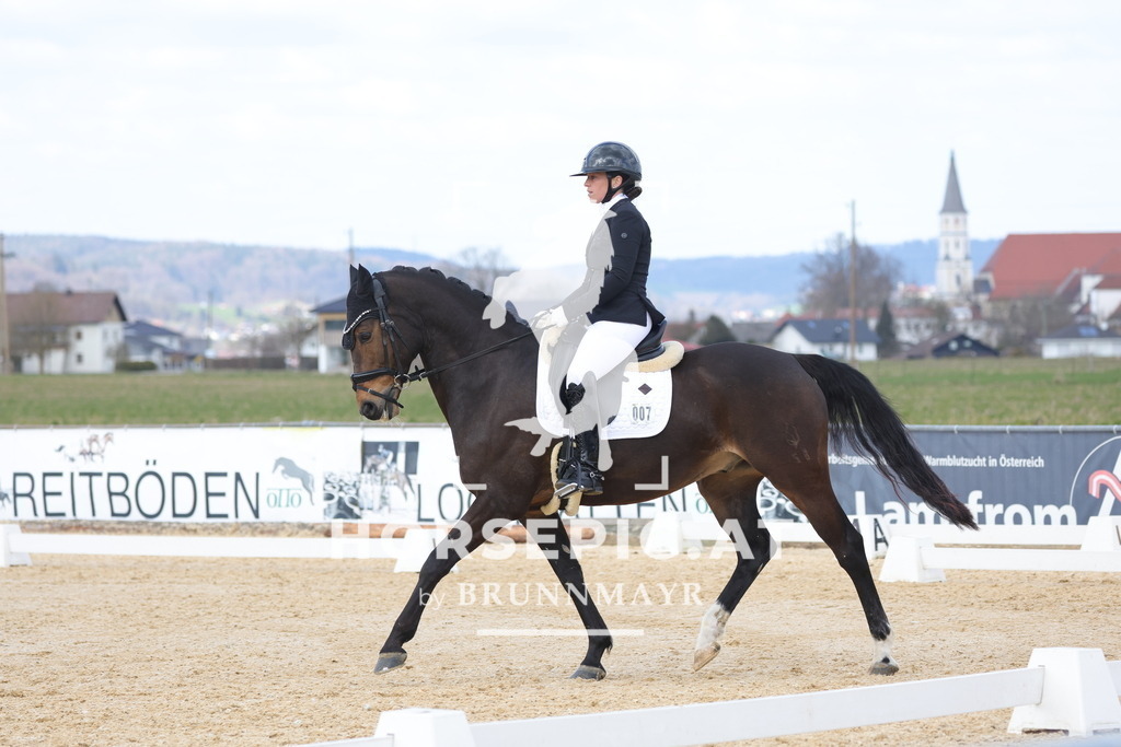 0P6A7426 | Willkommen bei Brunnmayr - Design & Fotografie – Ihrem Spezialisten für Reitturniere und Pferdeveranstaltungen in Oberösterreich, Salzburg und Bayern! Seit über 17 Jahren sind wir leidenschaftlich dabei.
