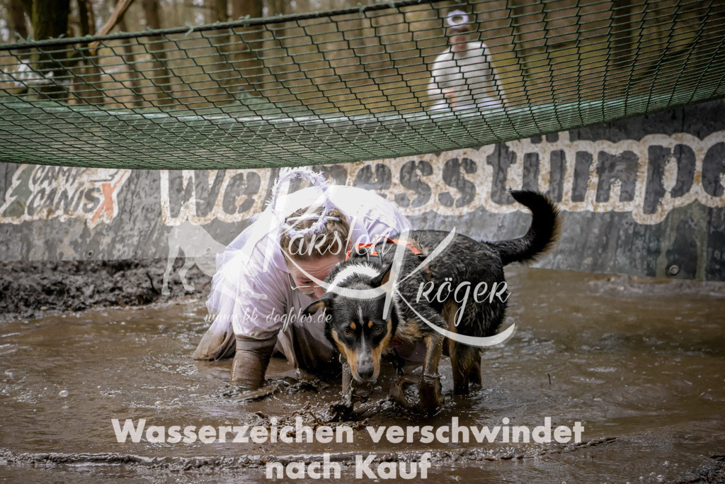 1030_ZZ91382 | kk-dogfotos
