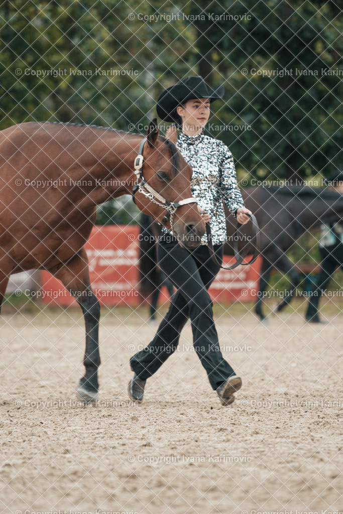 DSC03203 | ikphotography - Realisiert mit Pictrs.com