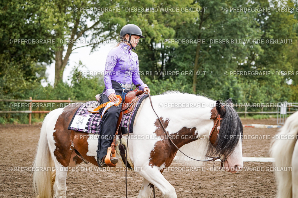 DSC03987 | Pferdegrafie