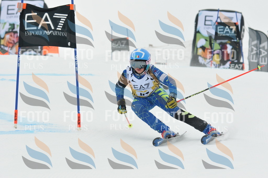 DSC_8187 | holidayphoto