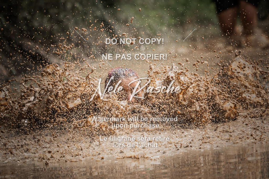 nelerasche_Hoope2026_So1130-1200_228 | nelerasche