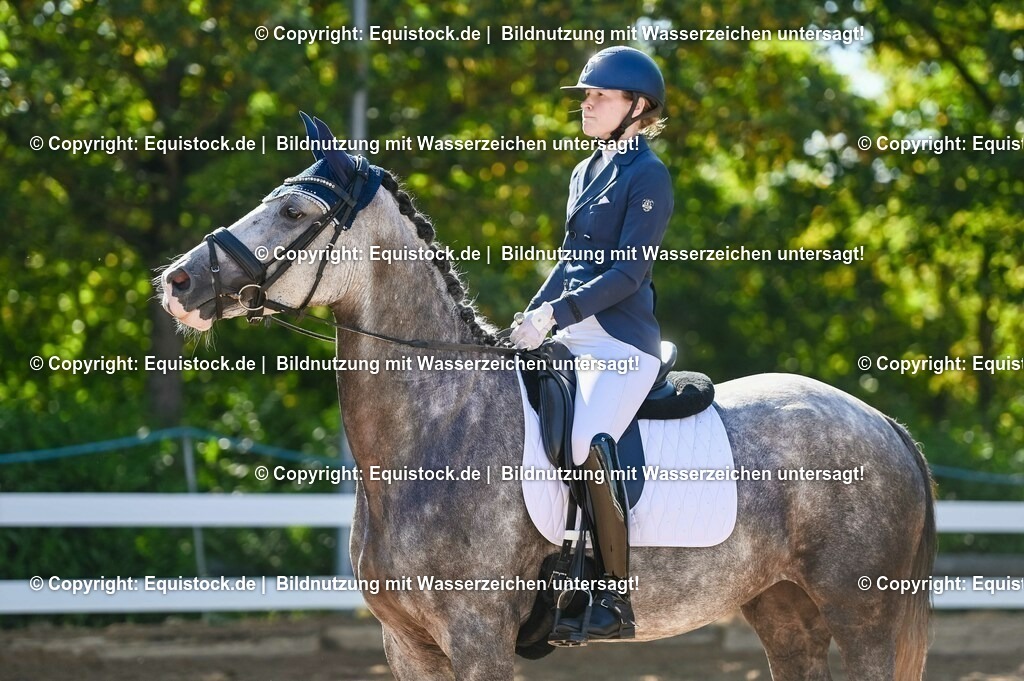 20230715_06_Dressurpferdeprfg. Kl.A_0296 | equistock