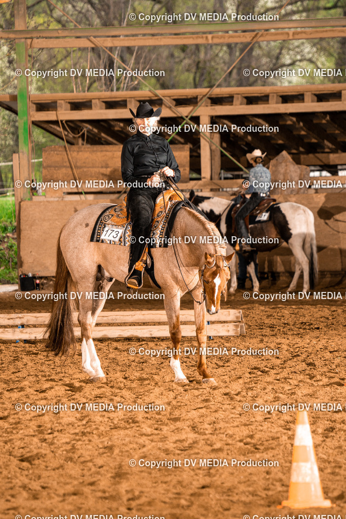 BAL00220 | dv-media-shop - Realisiert mit Pictrs.com