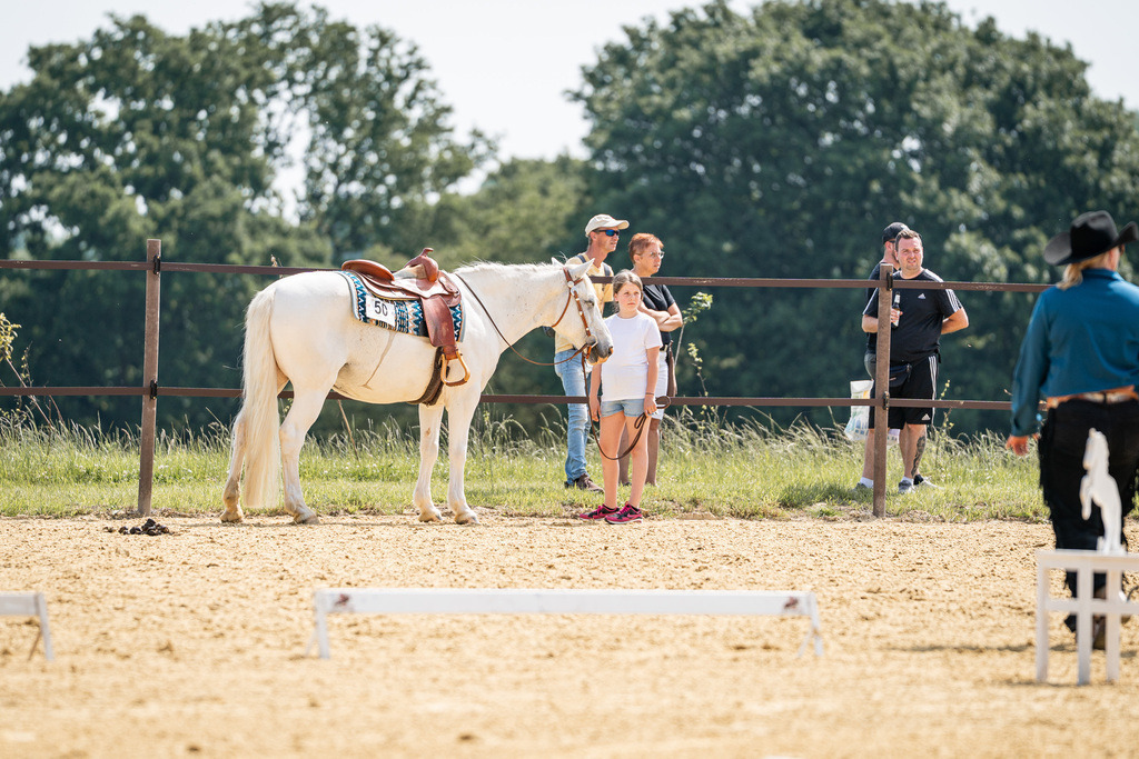 DSC09840 | Pferdegrafie