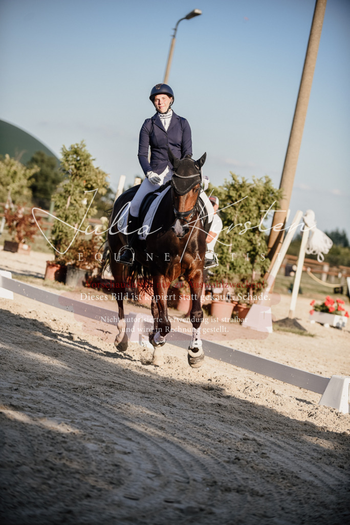 DSC_0749 | Pferde- und Turnierfotografie in Westsachsen. Pferdeportraits, Auftragszeichnungen und intuitive Kunst.