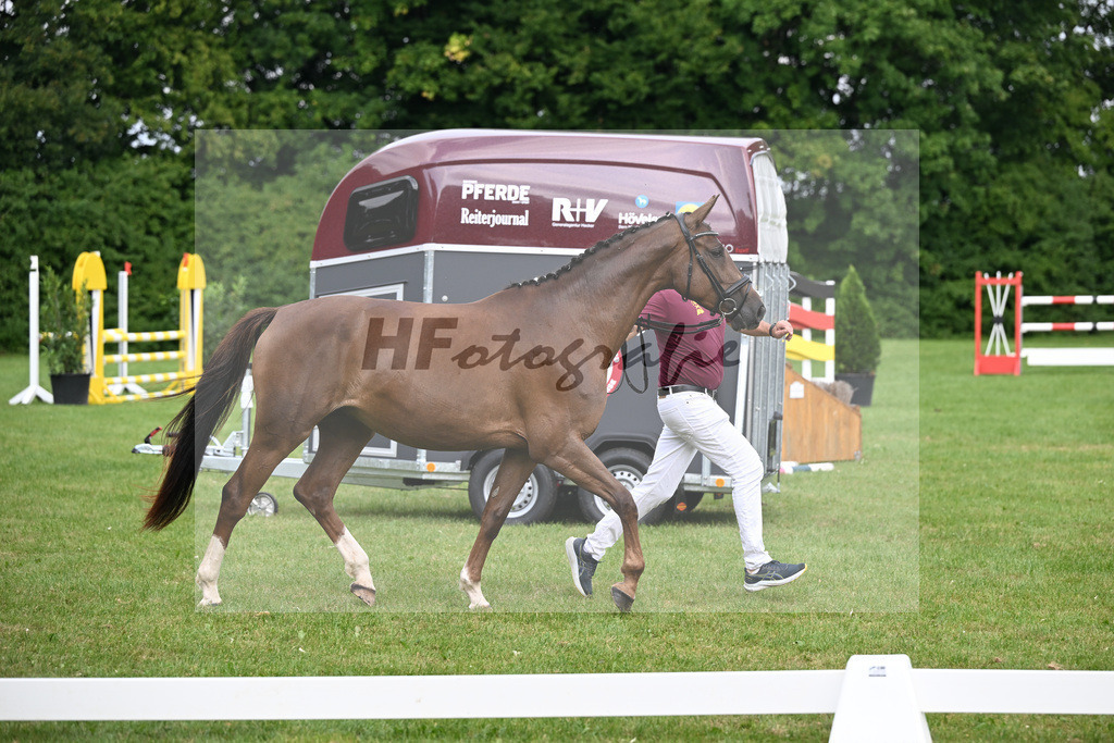 Kat-Nr. 18 Triys v. Chardonnay_Wimmer_27150364 | hf-fotografie - Realizzato con Pictrs.com