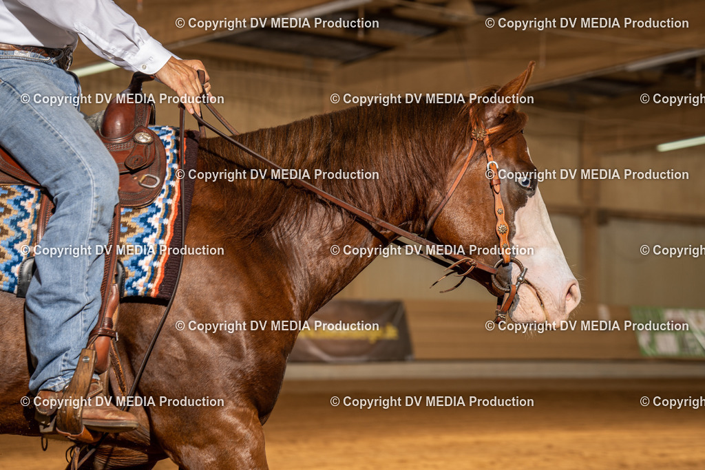 NID01889 | dv-media-shop - Realisiert mit Pictrs.com