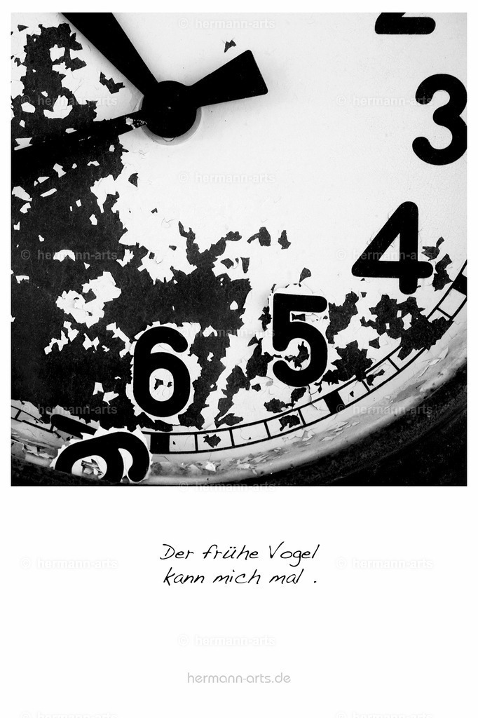 PK_Zitate_10x15_BW-151 | Photo Foto Kunst Art schwarzweiss Bilder Rheine Münster Berlin Blumen 