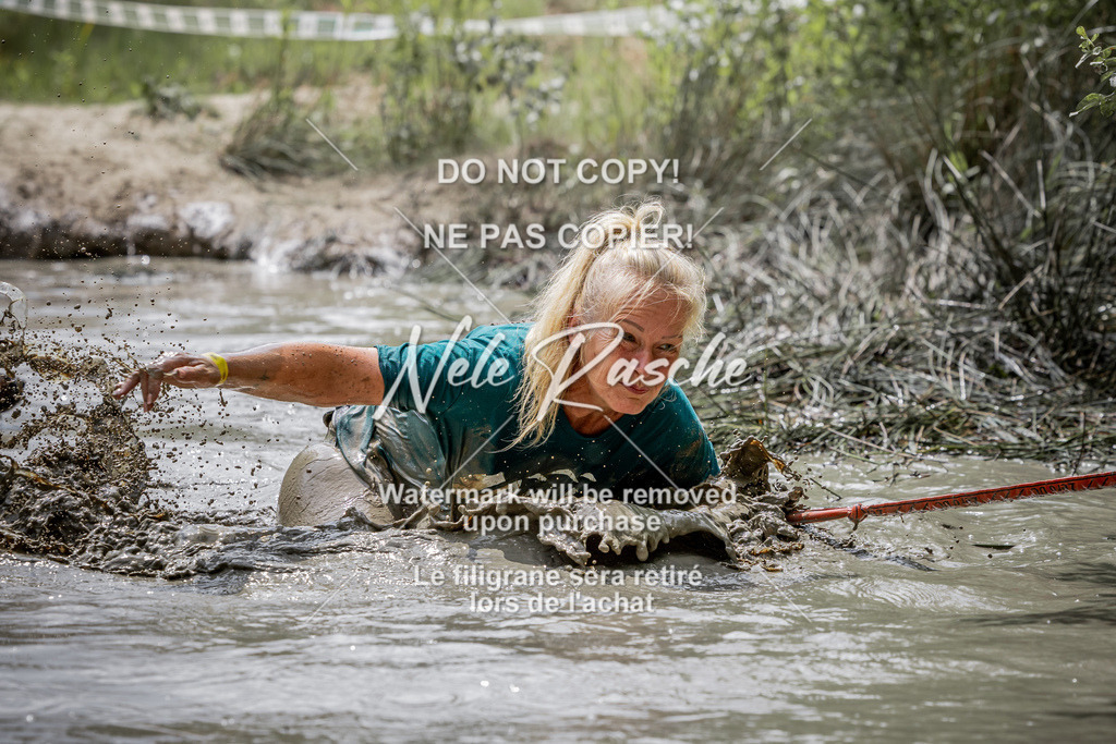 nelerasche_so1230-1300_264 | nelerasche
