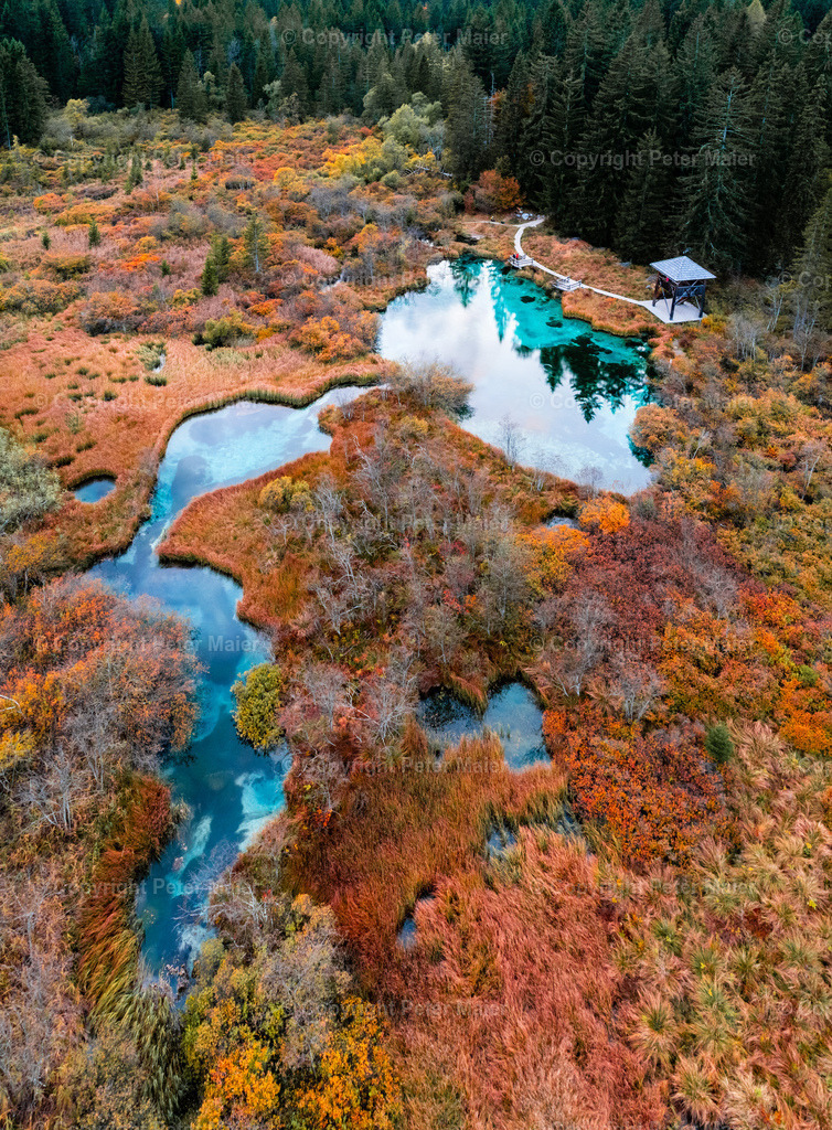 Zelenci-48 | piet_flosse