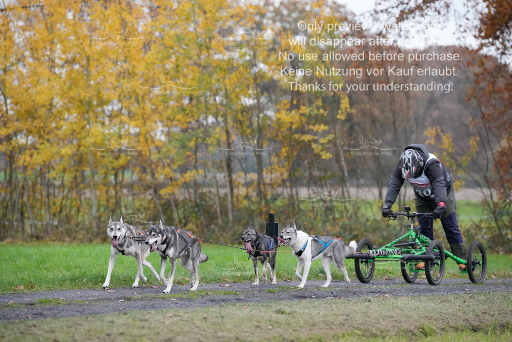 Visbeck_Sa_D4_6-31 | stephaniefillaphotographie - Realisiert mit Pictrs.com