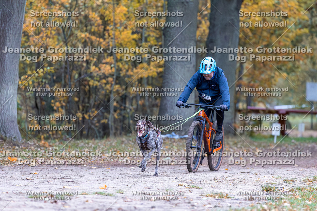 Dog Paparazzi - SD CaniX Championship 2025-34 | Dog Paparazzi Jeanette Grottendiek Fotografie & Videografie