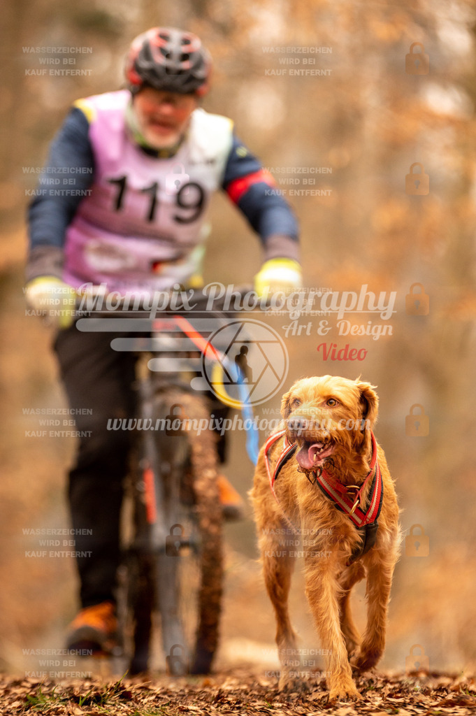 AKM_ST_2023_SAM_Bike-151 | PayLife