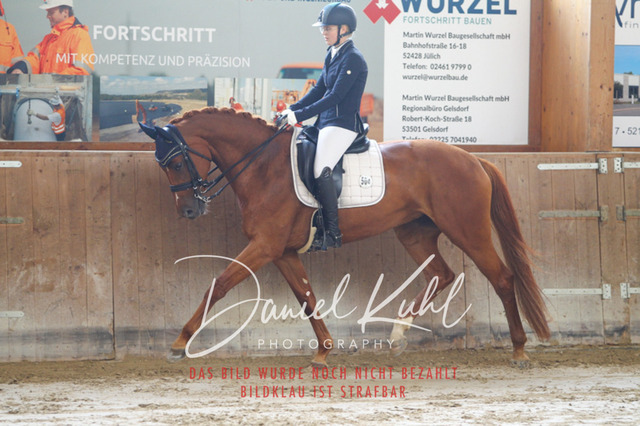 DKP44604 | Turniersportfotografie; Pferdefotografie; Dressurfotografie