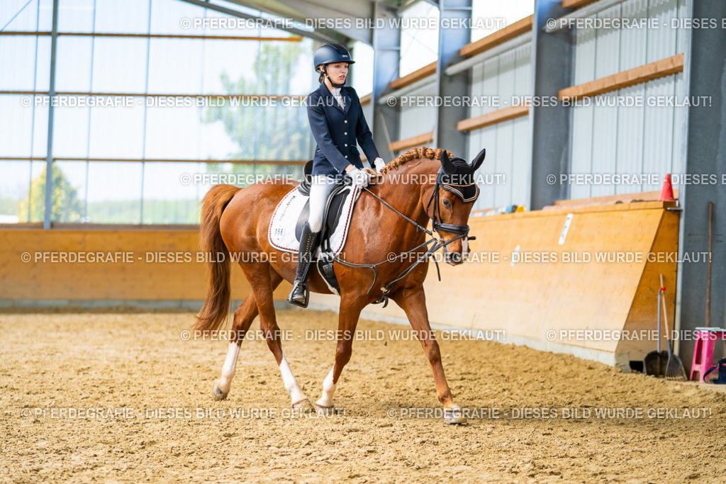 DSC08829 | Pferdegrafie