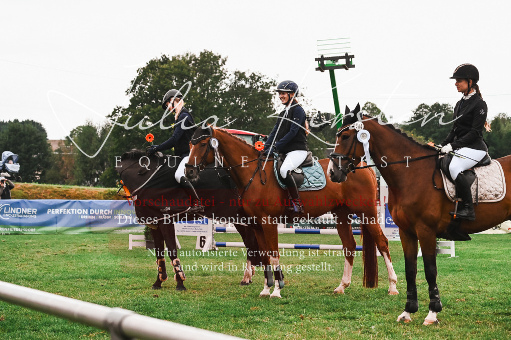 DSC_6701 | Pferde- und Turnierfotografie in Westsachsen. Pferdeportraits, Auftragszeichnungen und intuitive Kunst.