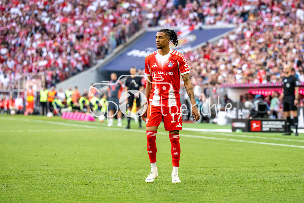 FC Bayern München - 1. FC Heidenheim | MUNICH, GERMANY - 02. MAI: im Bild  Michael OLISE (FC Bayern Munich 17) / Einzelfoto / Freisteller während dem Bundesligamatch zwischen dem FC Bayern München und dem 1. FC Heidenheim am 32. Spieltag in der Allianz Arena / DFL REGULATIONS PROHIBIT ANY USE OF PHOTOGRAPHS AS IMAGE SEQUENCES AND/OR QUASI-VIDEO