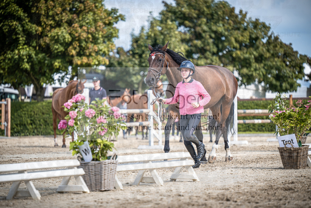 DOS_1787 | Entdecke hochwertige Reitturnierfotos von Foto Oger. Professionell, emotional und authentisch – jetzt Lieblingsmomente im Shop bestellen.Deutschlandweite Turnierfotografie. - Realisiert mit Pictrs.com