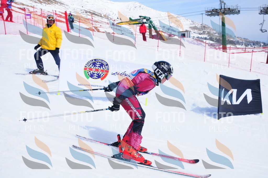 DSC_7429 | holidayphoto