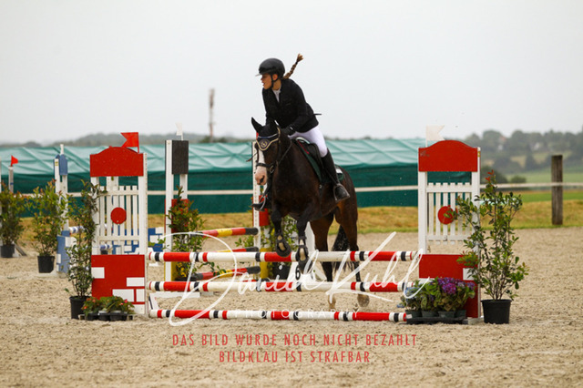 DKP47271 | Turniersportfotografie; Pferdefotografie; Dressurfotografie