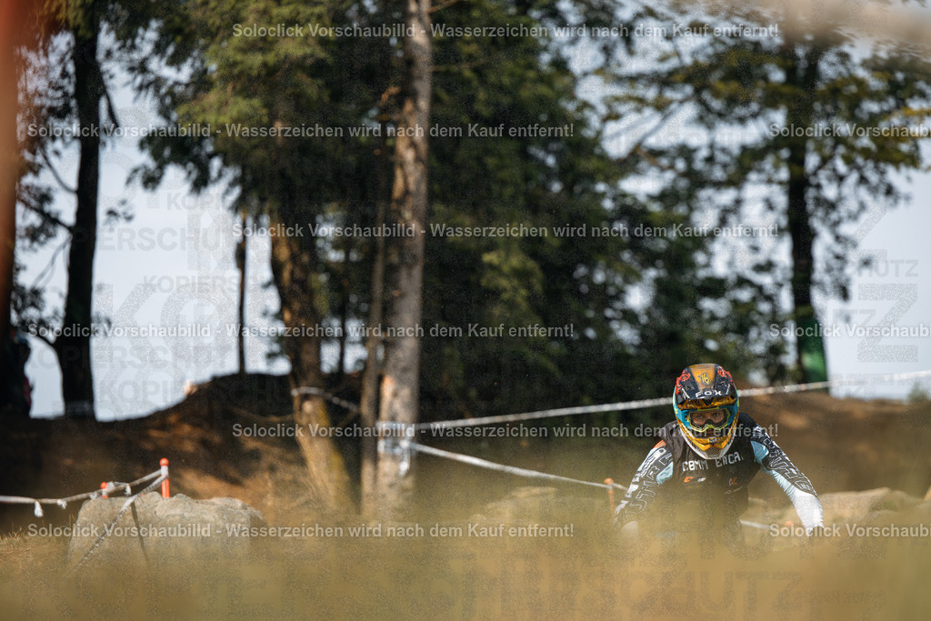 Motocross-Action im Staub | Das Bild zeigt einen Motocross-Fahrer in voller Montur, der mit hoher Geschwindigkeit durch eine Staubwolke auf einer Dirt-Strecke fährt. Der Fahrer trägt einen auffälligen Helm mit einem bunten Design und eine passende Schutzkleidung. Die Umgebung besteht aus einer unebenen Dirt-Strecke, umgeben von Bäumen und Büschen. Der Fokus liegt auf dem Fahrer und der Staubwolke, die er aufwirbelt. - Realisiert mit Pictrs.com