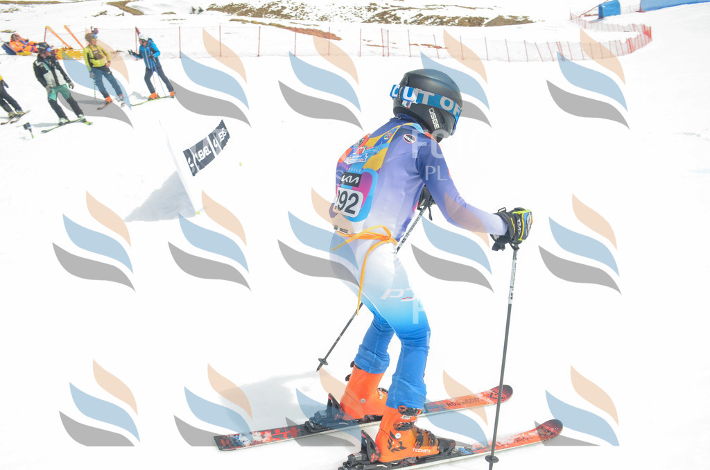 _ELE8125 | holidayphoto